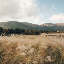 은빛파도 이미지