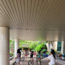 분포초등학교 이미지