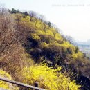 남산가는길(야경)코스 이미지