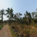 협재리813 이미지