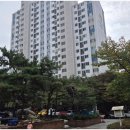 용산-현장-911 이미지