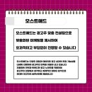 모스트애드