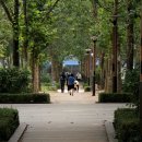 가정공원 이미지