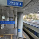 대장부태권도 이미지