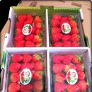 김용선 농장 이미지