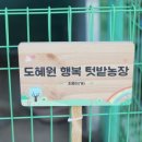 팔팔민박 이미지