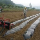 성진농장 이미지