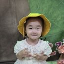 🕵‍♂️오감톡톡 특별활동(꼭꼭 숨어라 대벌레)🕵‍♀️ 이미지
