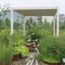 서울식물원 이미지