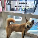 한주동물병원 이미지