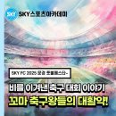 문경 풋볼페스타 유소년축구 SKY FC-경북 유소년대회 참가기