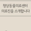 청당동물의료센터 이미지