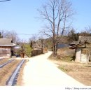 초당동-1 이미지