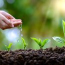 정이안한의원 이미지