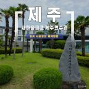 새마을금고 - 대덕구 | MG 새마을금고 제주연수원 이용 후기