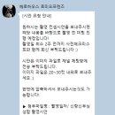 김재동스튜디오스토리하우스 | 결혼 준비 스튜디오편 헤로하우스 시안 준비 (PPT 공유)