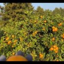 다미농장 이미지