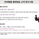 타요타요 펫택시 네이버블로그