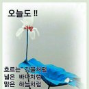 하늘천숯불갈비(목포점) 이미지