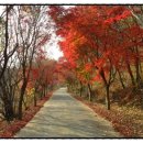 운산목장 이미지