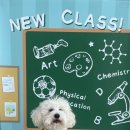 하울팟 위례점 이미지