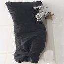 꼭찌 이미지