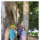 동민농장 이미지