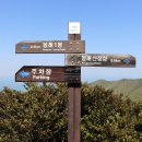 나무&숲장식 이미지