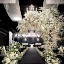 (주)유세이프 | [W.웨딩홀 계약후기]합정 웨딩시그니처 계약후기 2026년 하반기 (계약O,견적공유O)