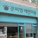 쿤찌멍 애견미용 네이버블로그