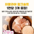 산지고고
