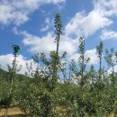 태임농장 이미지