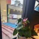 Hey poet(헤이포엣)/어멋 여기는 흥해야 해!종로 카페 후기