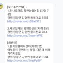속초애견동반펜션양양재인스가든 이미지