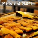 밤골랜드 이미지