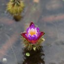 싱그러운청도로(가을) 이미지