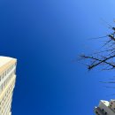 하대동270 | 24년 1월 둘쨋주 일기