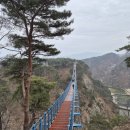 하늘공원(하부) | 원주 소금산 그린드밸리 케이블카 탑승 후기