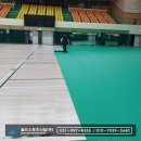 도솔다목적체육관 이미지