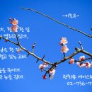 에이스헬스사우나 네이버블로그