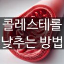 LDL 콜레스테롤 낮추는 확실한 방법 이미지