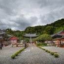 척판암