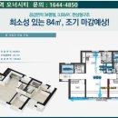 이안방역