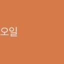 씨드네이쳐
