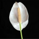 준성화학 이미지