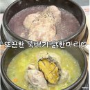 김윤미전복삼계탕 정관점 | 부산 기장 정관맛집 김윤미 전복삼계탕 닭한마리로 몸보신 제대로