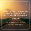 올바이블 이미지