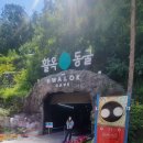 충주개발 | 충주 활옥동굴 후기 여름 실내 가볼만한곳 입장료 주차 카약 체험 볼거리
