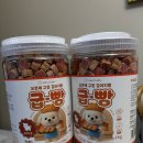 빵먹는 강아지 | 강아지가 먹을수 있는 빵 간식(소고기 간식) 여동생 강아지 난리난 후기(가격)