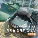 산림기술개발 | 기력 관리의 끝판왕, 국립산림과학원 공동개발 지기원 천혜보 산양삼 전초 진액 섭취 후기